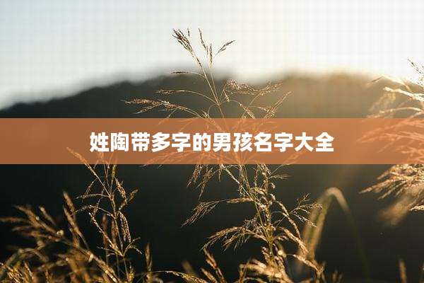 姓陶带多字的男孩名字大全