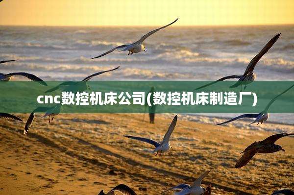 cnc数控机床公司(数控机床制造厂)