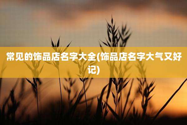 常见的饰品店名字大全(饰品店名字大气又好记)