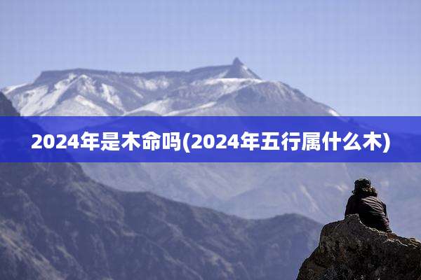 2024年是木命吗(2024年五行属什么木)