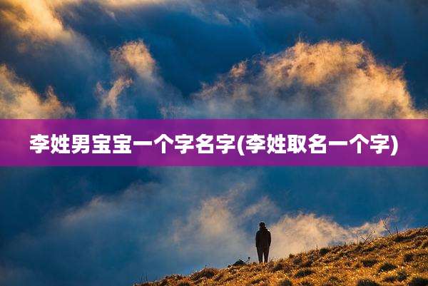 李姓男宝宝一个字名字(李姓取名一个字)