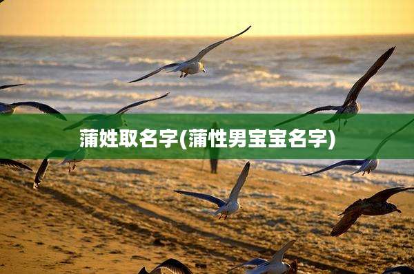 蒲姓取名字(蒲性男宝宝名字)
