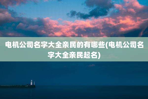 电机公司名字大全亲民的有哪些(电机公司名字大全亲民起名)