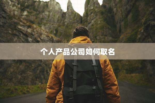 个人产品公司如何取名