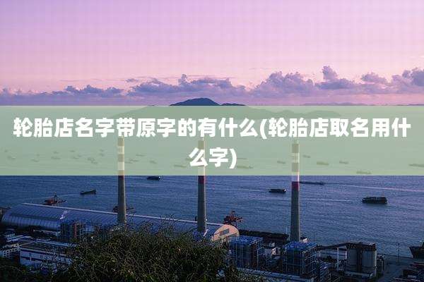轮胎店名字带原字的有什么(轮胎店取名用什么字)