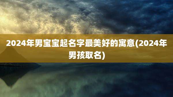 2024年男宝宝起名字最美好的寓意(2024年男孩取名)