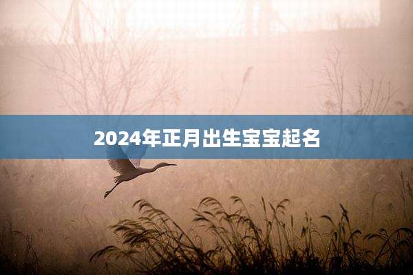 2024年正月出生宝宝起名