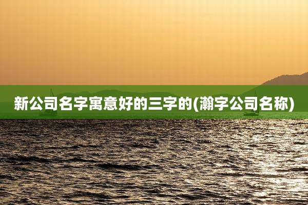 新公司名字寓意好的三字的(瀚字公司名称)