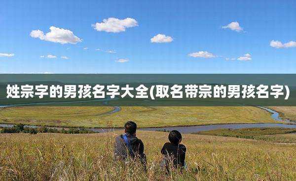 姓宗字的男孩名字大全(取名带宗的男孩名字)