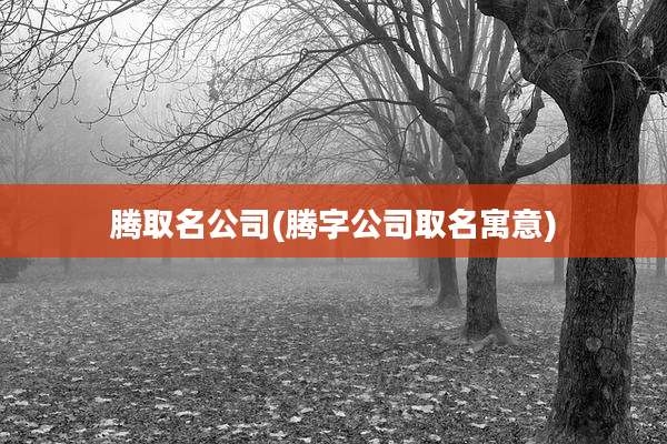 腾取名公司(腾字公司取名寓意)
