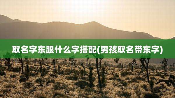 取名字东跟什么字搭配(男孩取名带东字)