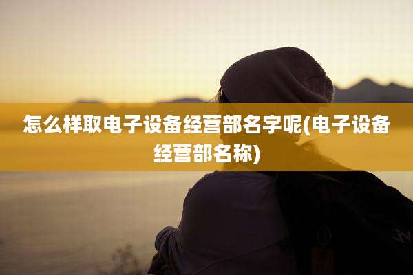 怎么样取电子设备经营部名字呢(电子设备经营部名称)