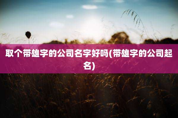 取个带雄字的公司名字好吗(带雄字的公司起名)