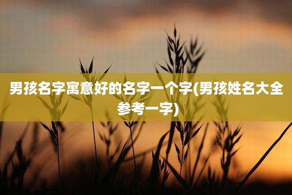 男孩名字寓意好的名字一个字(男孩姓名大全 参考一字)