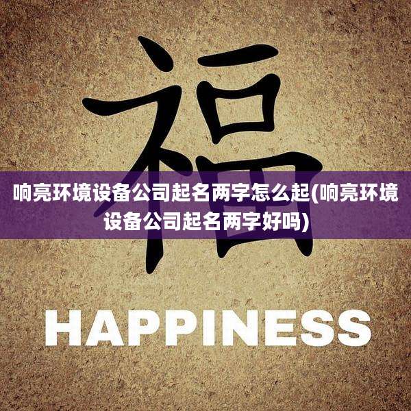 响亮环境设备公司起名两字怎么起(响亮环境设备公司起名两字好吗)