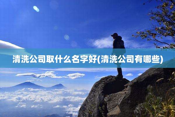清洗公司取什么名字好(清洗公司有哪些)