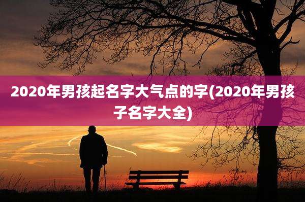 2020年男孩起名字大气点的字(2020年男孩子名字大全)