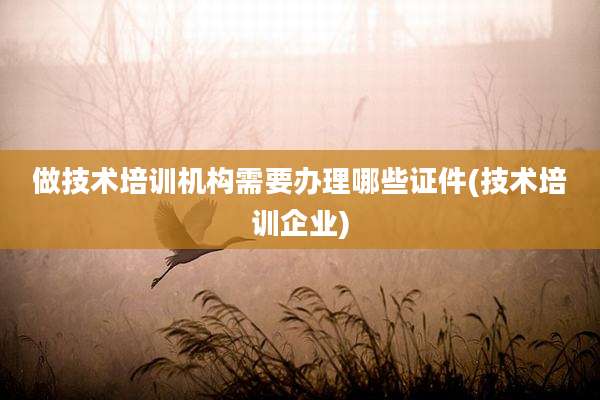做技术培训机构需要办理哪些证件(技术培训企业)