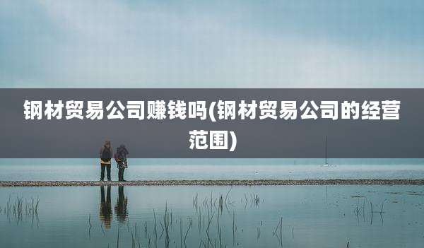 钢材贸易公司赚钱吗(钢材贸易公司的经营范围)