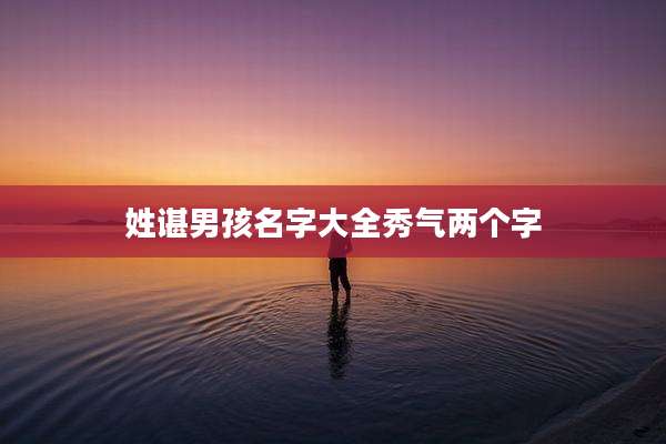 姓谌男孩名字大全秀气两个字