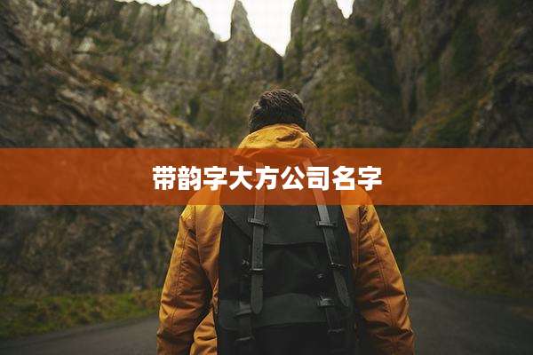 带韵字大方公司名字