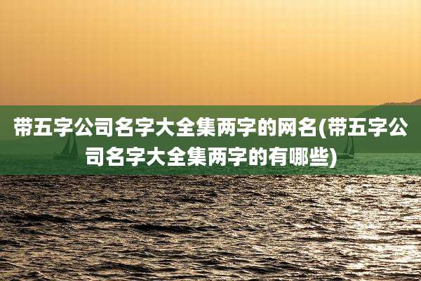 带五字公司名字大全集两字的网名(带五字公司名字大全集两字的有哪些)