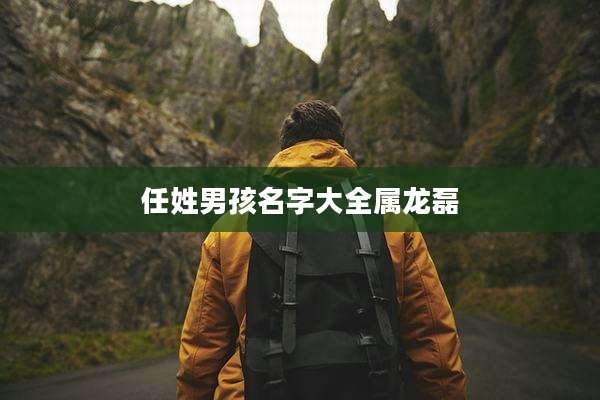 任姓男孩名字大全属龙磊