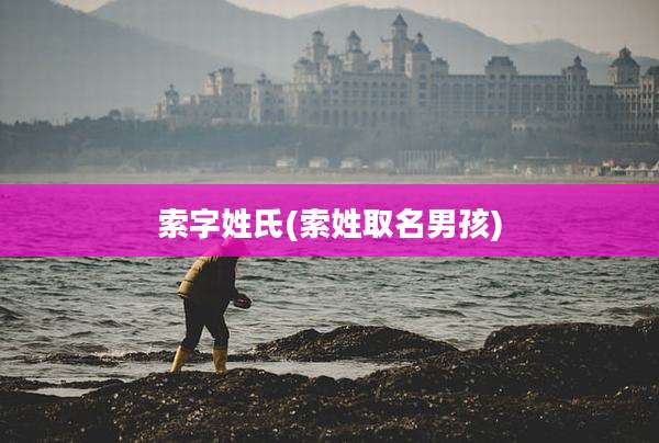 索字姓氏(索姓取名男孩)