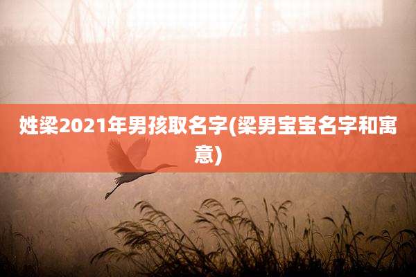 姓梁2021年男孩取名字(梁男宝宝名字和寓意)