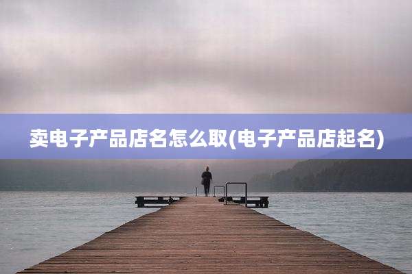 卖电子产品店名怎么取(电子产品店起名)