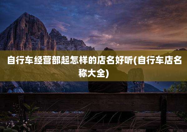 自行车经营部起怎样的店名好听(自行车店名称大全)