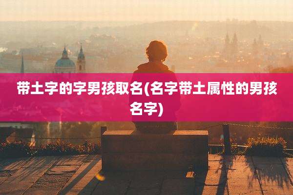 带土字的字男孩取名(名字带土属性的男孩名字)