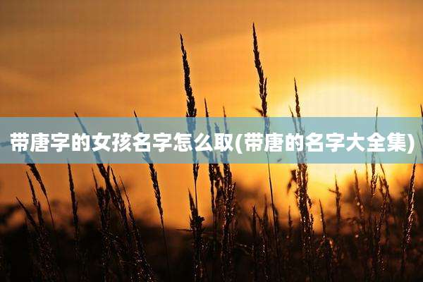 带唐字的女孩名字怎么取(带唐的名字大全集)