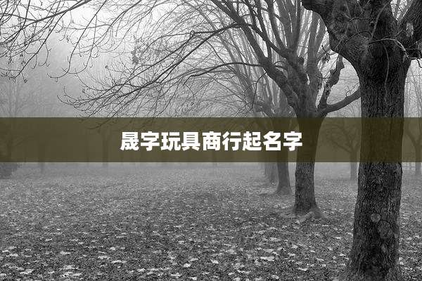 晟字玩具商行起名字