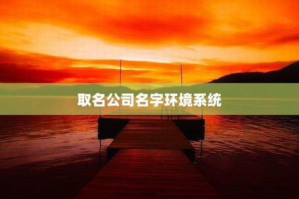 取名公司名字环境系统