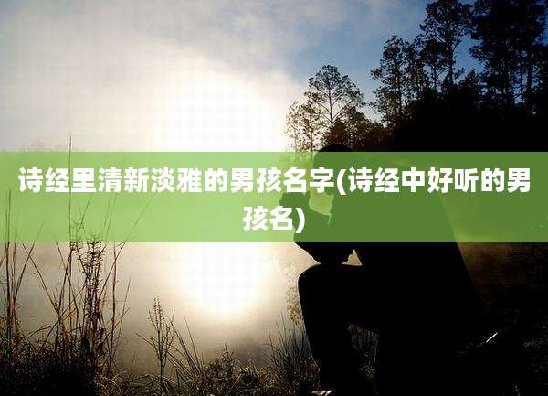 诗经里清新淡雅的男孩名字(诗经中好听的男孩名)