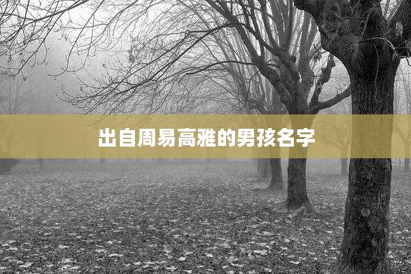 出自周易高雅的男孩名字
