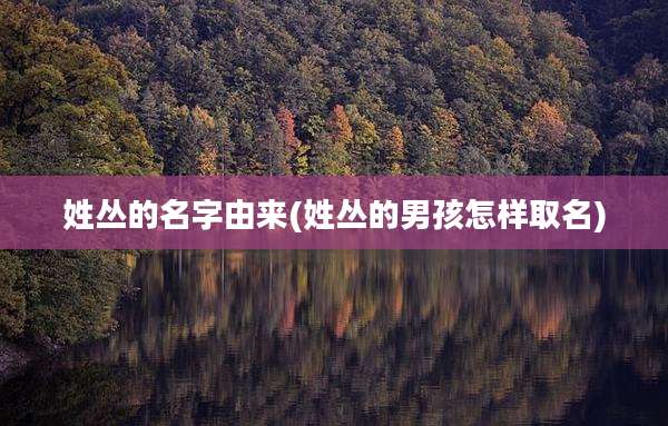 姓丛的名字由来(姓丛的男孩怎样取名)