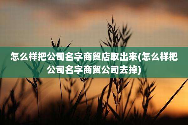 怎么样把公司名字商贸店取出来(怎么样把公司名字商贸公司去掉)