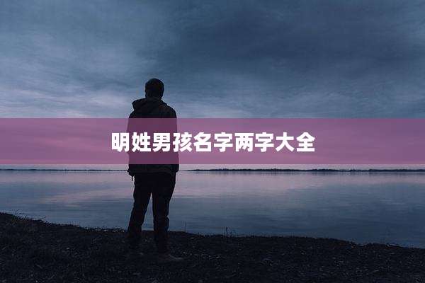 明姓男孩名字两字大全