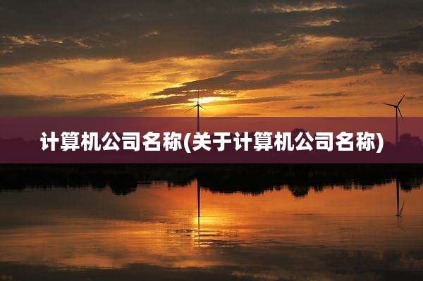 计算机公司名称(关于计算机公司名称)