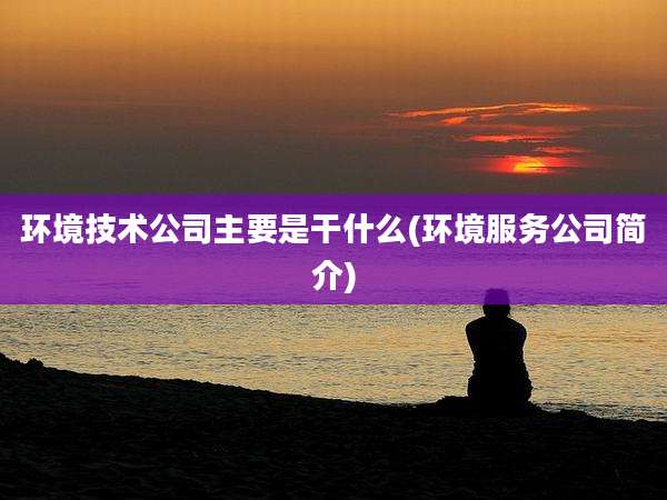 环境技术公司主要是干什么(环境服务公司简介)