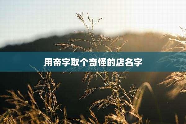 用帝字取个奇怪的店名字