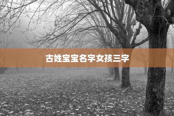 古姓宝宝名字女孩三字