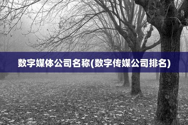 数字媒体公司名称(数字传媒公司排名)