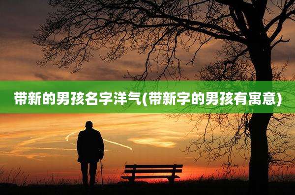 带新的男孩名字洋气(带新字的男孩有寓意)