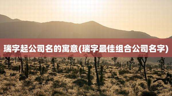 瑞字起公司名的寓意(瑞字最佳组合公司名字)