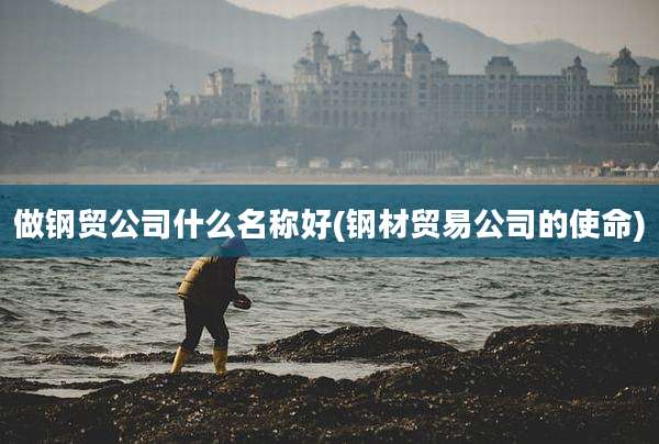 做钢贸公司什么名称好(钢材贸易公司的使命)