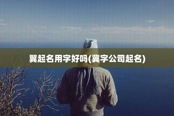 翼起名用字好吗(冀字公司起名)