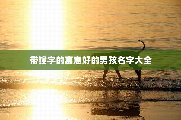 带锋字的寓意好的男孩名字大全